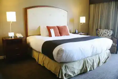 Wyndham Grand Pittsburgh - 83