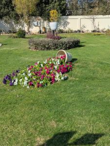 Gravity & Aqua Park Hurghada Families and Couples Only - 62