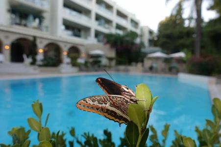 Rodos Park Suites & Spa - 7