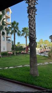 Amons Belek - Adult Only - 56