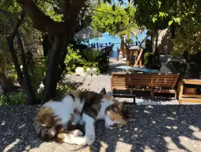 Armas Bella Sun - 42