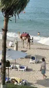 Radisson Blu Resort, Fujairah - 21