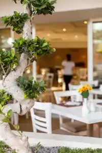 Best Western Plus Plaza - 13