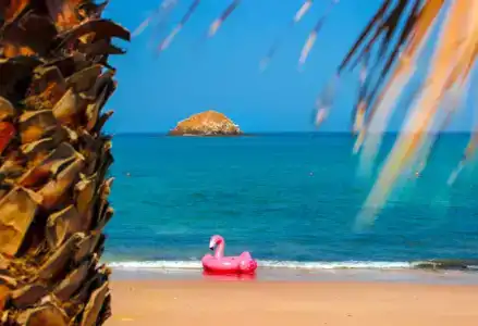 Royal Beach & Resort - 41