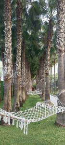 Miramare Beach - Ultra All Inclusive - 26