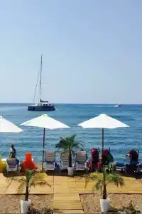 Esperanza - 4