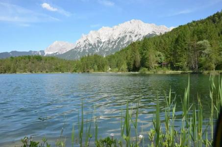 Rheinischer Hof - 33