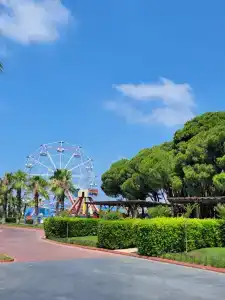 Suenos Beach Side - 43