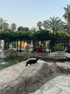 Sultan Sipahi Resort - 47