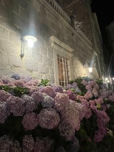 Heritage Grand Perast - 15