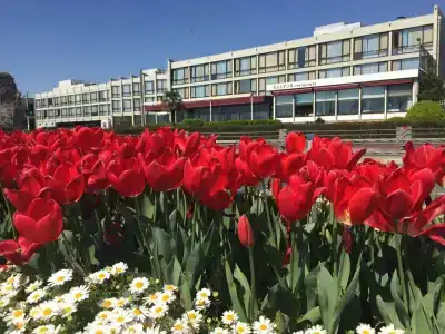 Kalyon Istanbul - 8
