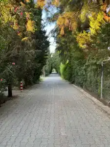 Adalya Art Side - All Inclusive - 78