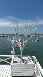 La Blanche Resort & Spa - 51