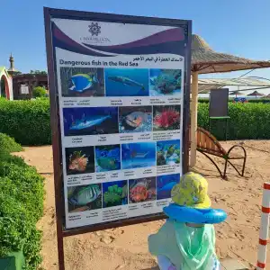 Charmillion Gardens Aquapark - 12