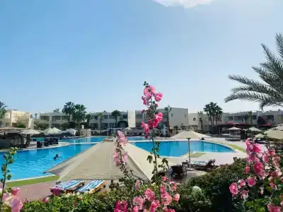 Sharm Reef Resort - 56