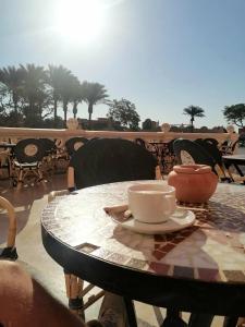 Caribbean World Resort Soma Bay - 78