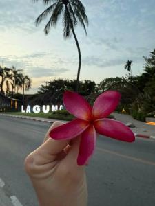 Hilton Garden Inn Phuket Bang Tao - SHA Extra Plus - 36