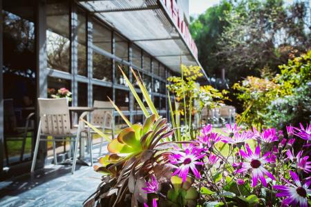 Best Western Plus Alfa Aeropuerto - 23