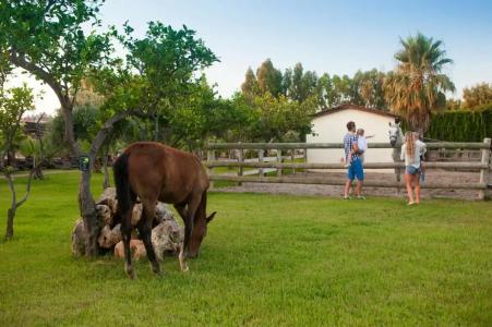 Club Turan Prince World - Kids Concept - 6