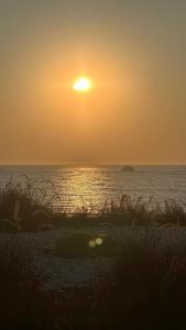 Allium Bodrum Resort & Spa - 85