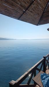 Assos Barbarossa - Special Category - 51