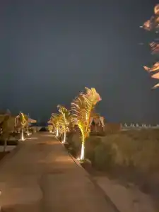 Rixos Premium Saadiyat Island - All Inclusive - 47