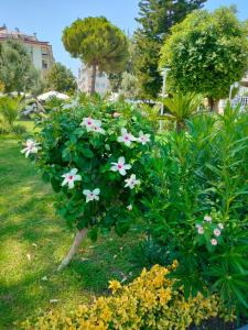 Halıcı Marmaris - 75