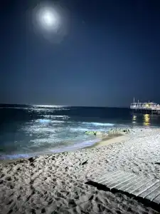 Long Beach Alanya - Ultra All Inclusive - 66