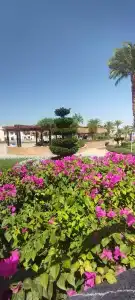 Eden Rock Namaa Bay - 86