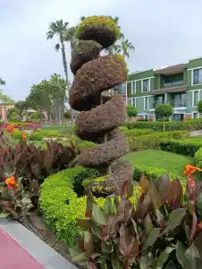 Megasaray Club Belek - 4