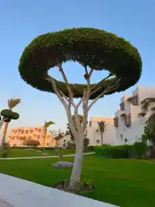 Mercure Hurghada - 25