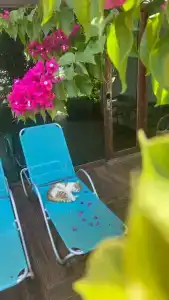 Flora Garden BEACH - Couples Concept - Adults over 16 Only - 85