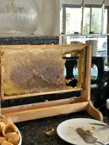 Best Western Plus Khan - 34