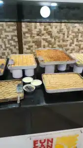 Fun&Sun Smart Hane Sun - 88