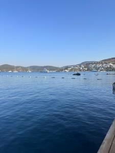 Divan Bodrum Palmira - 23