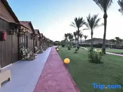 Xperience Golden Sandy Beach - 11