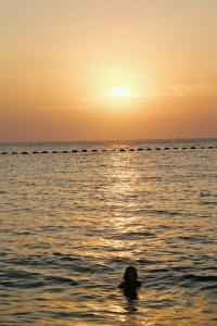 Welcome World Beach Resort & Spa - 78