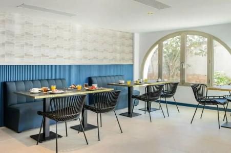 Vibra Palma Cactus - 38