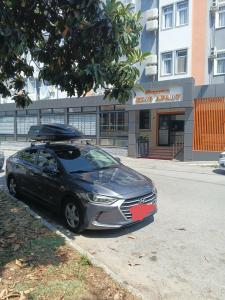 Cleopatra King Apart - 8