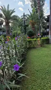 Sailor's Beach Club - 83