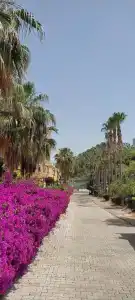 Miarosa Konakli Garden - 3