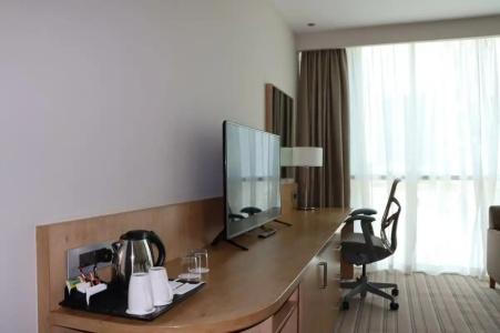Hilton Garden Inn Dubai Mall Of The Emirates - 62