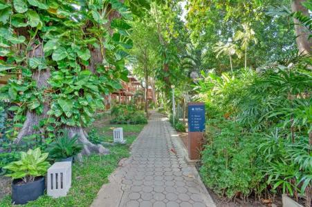 Malibu Koh Samui Resort & Beach Club - SHA Extra Plus - 23