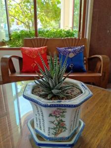 Mei Zhou Phuket - SHA Plus - 48