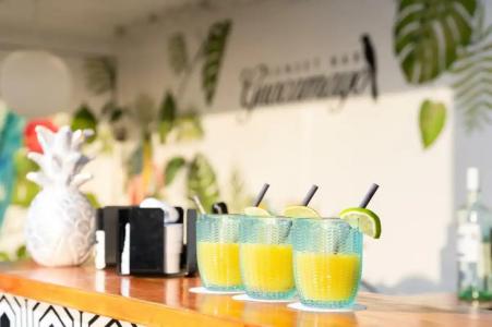 HOVIMA Jardin Caleta - 88