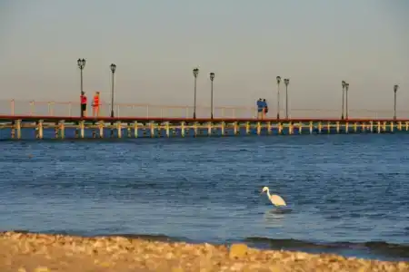 TUI MAGIC LIFE Kalawy - 12