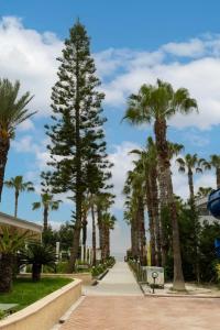 Catamaran Quality Times - 57