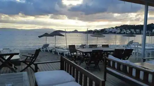 Bitez Garden Life - 28