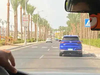 Parrotel Lagoon Waterpark Resort - 41