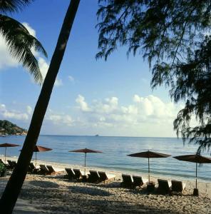 SALA Samui Choengmon Beach Resort - SHA Plus - 45